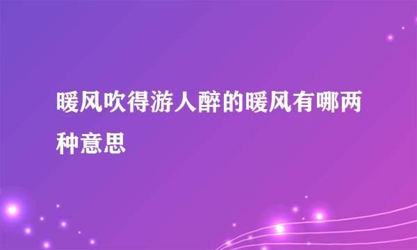 暖风吹得游人醉的暖风有哪两种意思