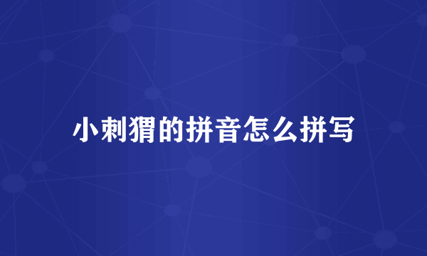 小刺猬的拼音怎么拼写