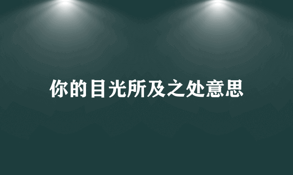 你的目光所及之处意思