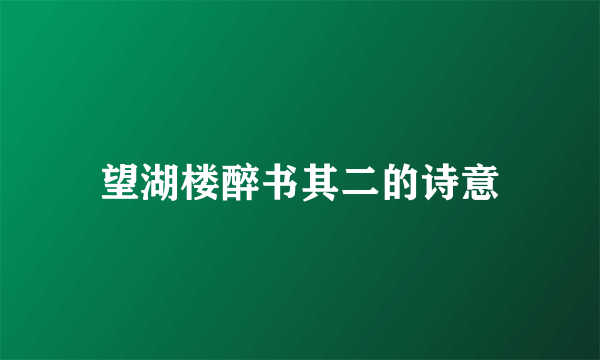 望湖楼醉书其二的诗意