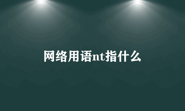 网络用语nt指什么