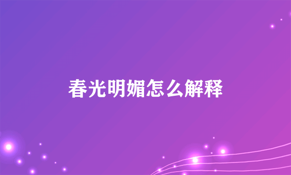 春光明媚怎么解释