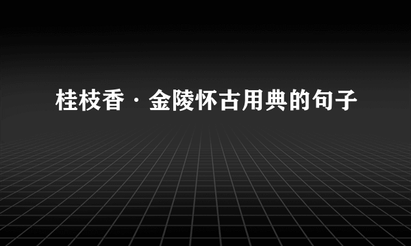 桂枝香·金陵怀古用典的句子
