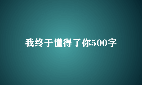 我终于懂得了你500字