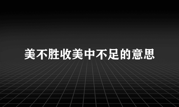 美不胜收美中不足的意思