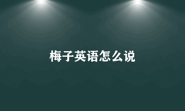 梅子英语怎么说