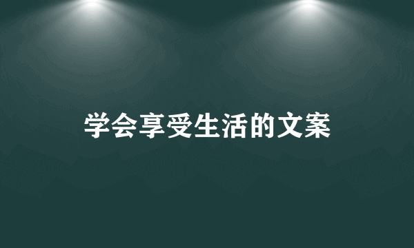 学会享受生活的文案