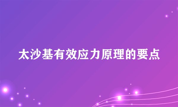 太沙基有效应力原理的要点