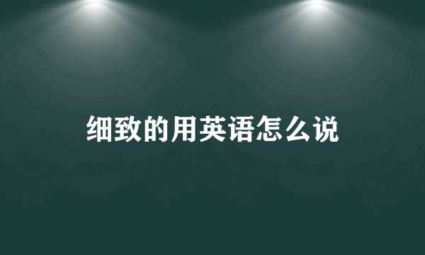 细致的用英语怎么说