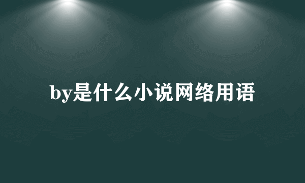 by是什么小说网络用语