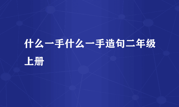 什么一手什么一手造句二年级上册