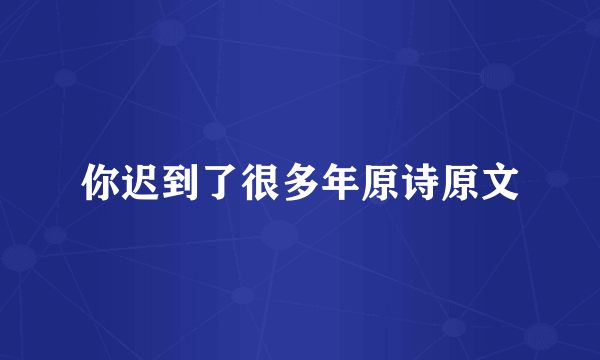你迟到了很多年原诗原文