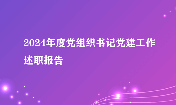 2024年度党组织书记党建工作述职报告