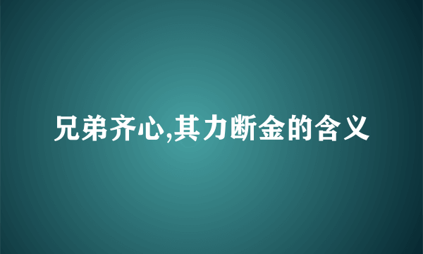 兄弟齐心,其力断金的含义