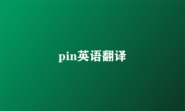 pin英语翻译