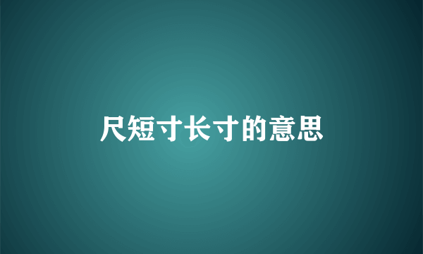 尺短寸长寸的意思