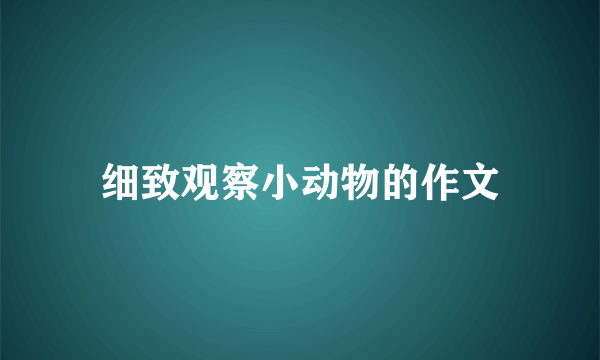 细致观察小动物的作文
