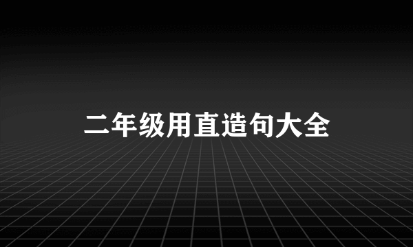 二年级用直造句大全