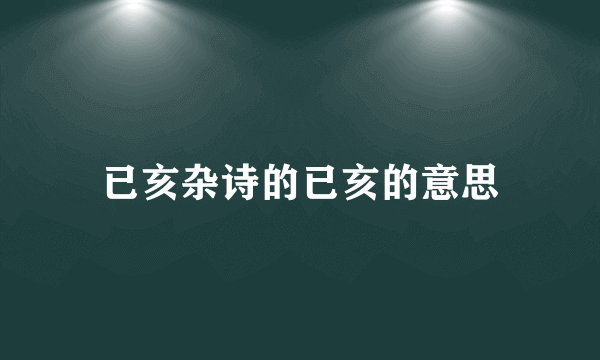 已亥杂诗的已亥的意思