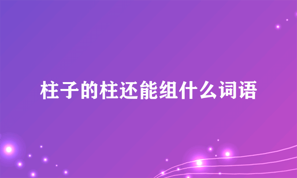 柱子的柱还能组什么词语