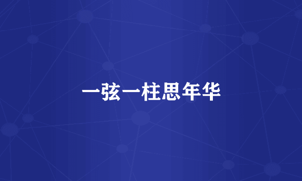 一弦一柱思年华