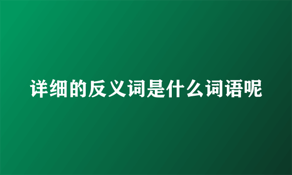 详细的反义词是什么词语呢