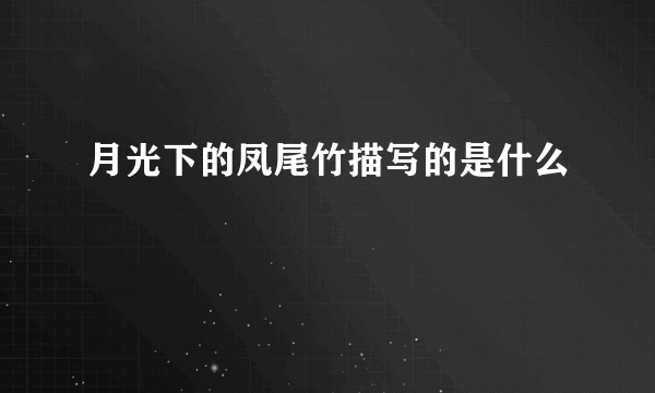 月光下的凤尾竹描写的是什么