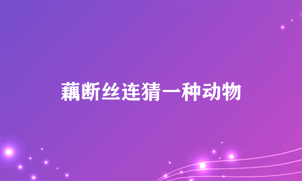 藕断丝连猜一种动物