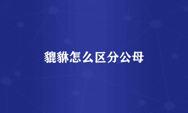 貔貅怎么区分公母
