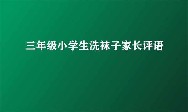 三年级小学生洗袜子家长评语