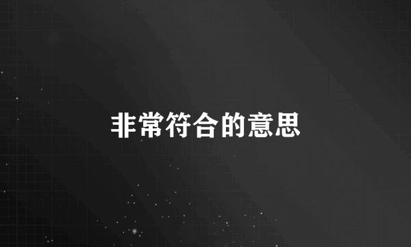 非常符合的意思