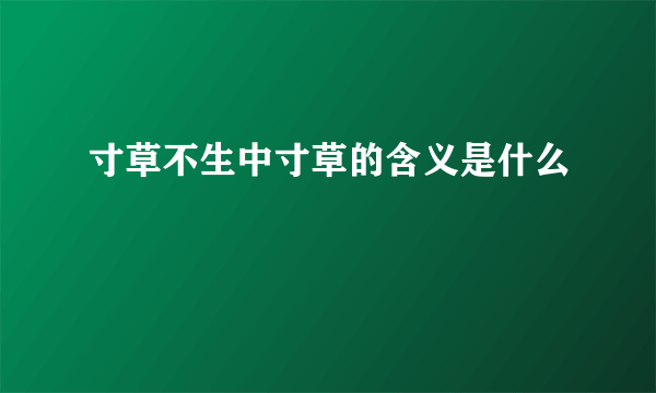 寸草不生中寸草的含义是什么