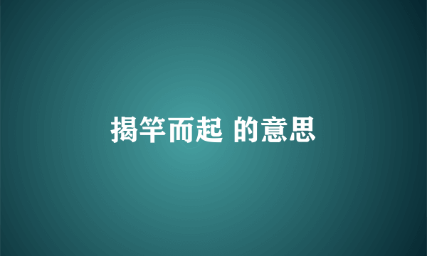 揭竿而起 的意思