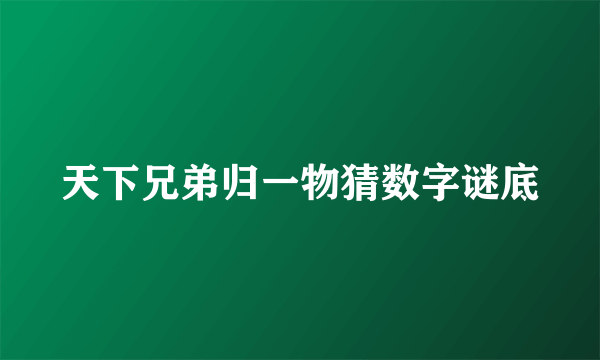 天下兄弟归一物猜数字谜底