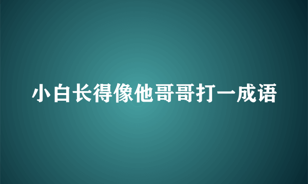 小白长得像他哥哥打一成语