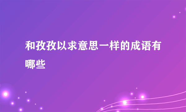 和孜孜以求意思一样的成语有哪些