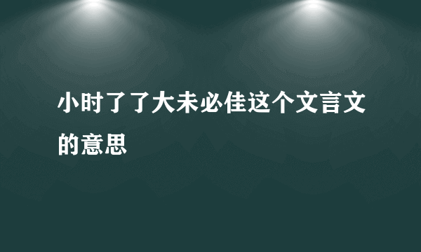 小时了了大未必佳这个文言文的意思