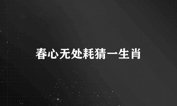 春心无处耗猜一生肖