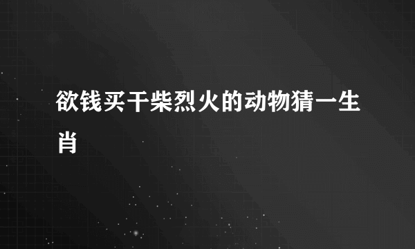 欲钱买干柴烈火的动物猜一生肖