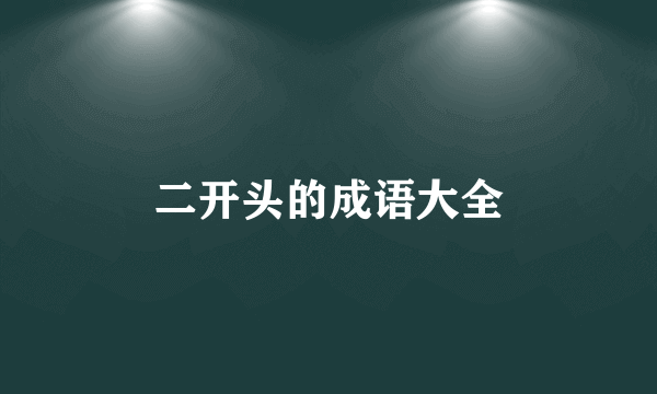 二开头的成语大全