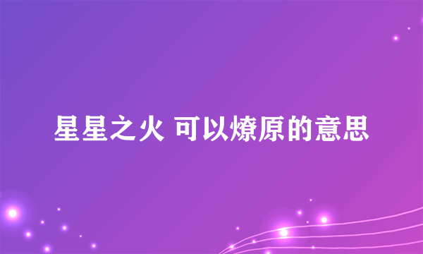 星星之火 可以燎原的意思