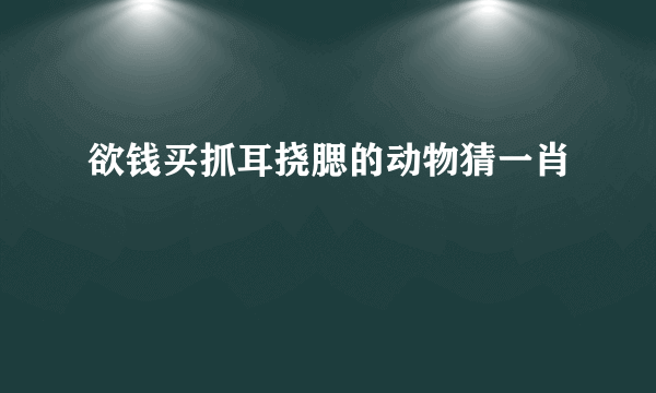 欲钱买抓耳挠腮的动物猜一肖