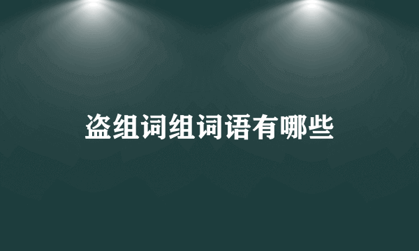 盗组词组词语有哪些