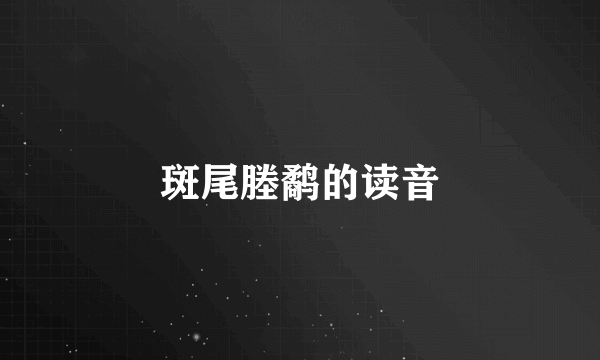 斑尾塍鹬的读音