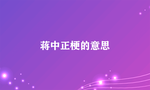 蒋中正梗的意思