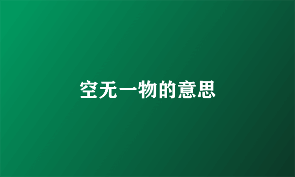 空无一物的意思