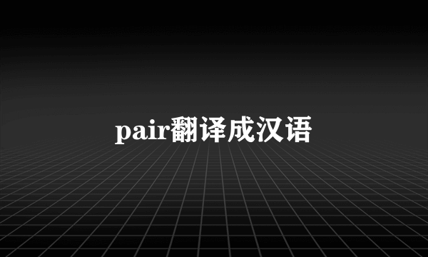 pair翻译成汉语