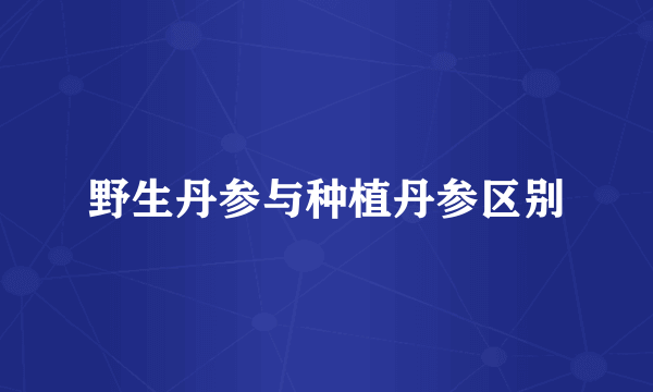 野生丹参与种植丹参区别