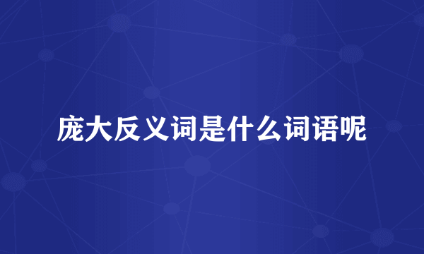 庞大反义词是什么词语呢