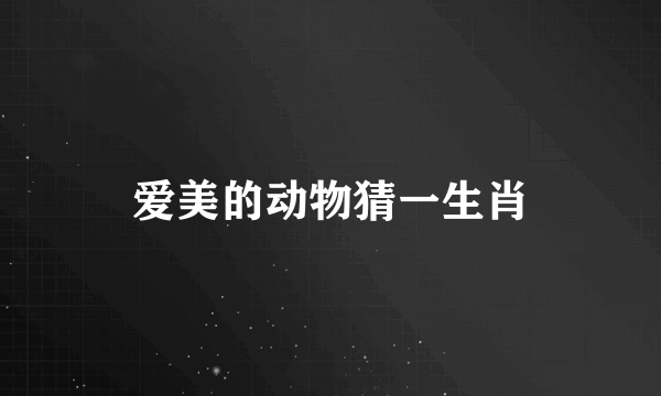 爱美的动物猜一生肖